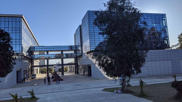 Université d'Alger 2